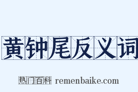 黄钟尾反义词是什么意思的图片